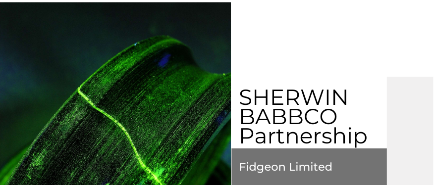 ShSherwin Babbco Partnership